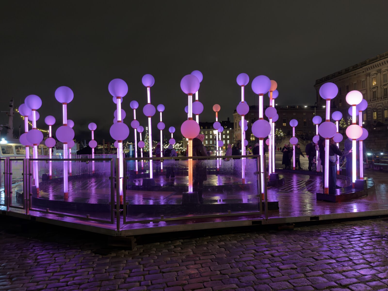 Nobel lights week 2025